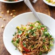 Spicy Peanut Chicken Soba Noodle Salad - colorful bell peppers with chewy soba noodles, shredded chicken, and a life changingly simple Spicy Peanut Sauce. Hot or cold, yumyumyum. 320 calories. | pinchofyum.com