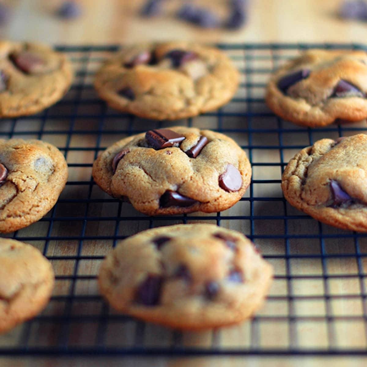 Malted double chocolate chip cookies on a drying rack.